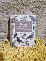 Oiseaux des villes