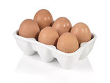6 frische Eier