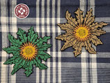 Parche EGUZKILORE Adabakia (B)