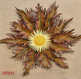 EGUZKILORE (OTS11)