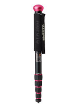 WALKABOUT ROSE A35WH