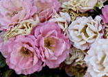 La vie en rose