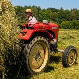 Orig.WaMü Auto Aufkleber | 4 Stück gemischt