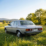 Orig.WaMü Auto Aufkleber | schwarz-grün