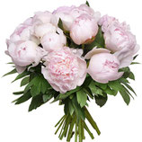 BOUQUET DE PIVOINES
