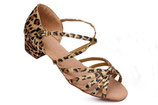 Chaussures de danse Leopard
