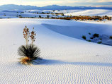 White Sands
