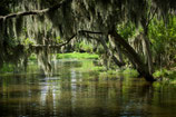 Airboat - New Orleans