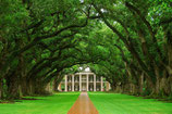 Oak Alley-Plantage - Louisiana
