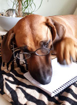 Telefonische Ernährungsberatung