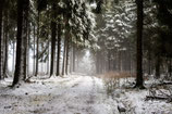 Print Rothaarsteig