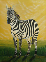 Natur Zebra Spuren