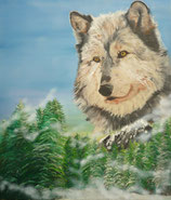 Natur Wolf Spuren