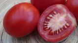 Eier-Tomate "Purple Russian"