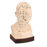 Cabeza (Caucho 21 cm.)