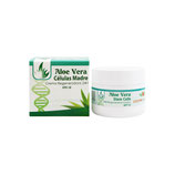 Crema Regeneradora 24H Células Madre de Aloe Vera FPS 10 100 ml.