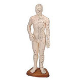 Cuerpo Humano Masculino (Caucho 46 cm.)