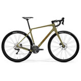Silex 8000 II1 L low key green(gold/blk) /25