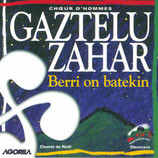 Gaztelu Zahar - Berri on Batekin