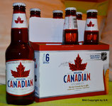 Molson Canadian Lager Bier 355ml