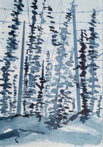 Aquarell Südschwarzwald - Hopfen