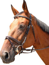 KenTaur - Trense Bridle