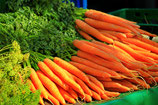 Carrot- PDF