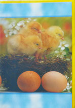 Ostern - Faltkarte mit Umschlag (o10)