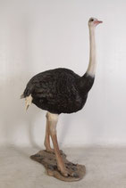 Réplica de avestruz - decorar parques naturales - figuras de animales