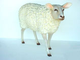 Figura de Oveja | réplica de oveja - decoración temática