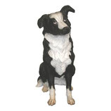 Figura de perro colli sentado | réplicas de perros - decoración temática