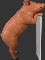 Réplica de cerdo de pie ideal para decorar granjas temáticas