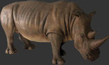Figura de rinoceronte