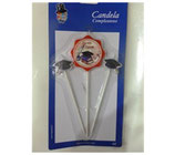 Candela Stecco Laurea