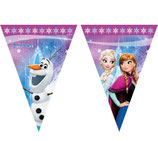 Bandierine Frozen Luci del Nord 2,3 m
