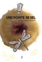 Une pointe de sel