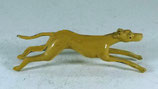 Jagdhund / Hubertusjagd