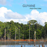 GUYANE Petit-Saut Lake