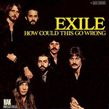 Exile - How Could This Go Wrong / Being In Love With You Is Easy