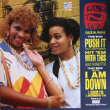 Salt n Pepa - Push It (U.S. Remix) / I'll Take Your Man