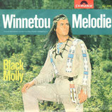 Martin Böttcher Orchester - Winnetou Melodie (ohne Cover)