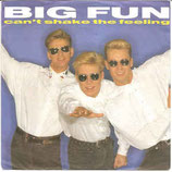 Big Fun - Can't Shake The Feeling / Don't Say It's Over