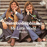 Waterloo & Robinson - My Little World