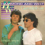 Albert Hammond & Albert West - Give A Little Love / Loving You, Loving Me