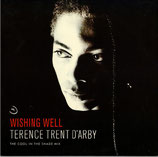 Terence Trent Dárby - Wishing Well / Elevators & Hearts
