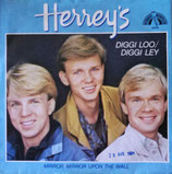 Herrey´s - Diggi-Loo Diggi-Ley / Every Song You Sing