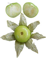 Tomatillo - Sachet 30 graines