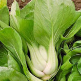 Pak Choï White Stem - Sachet 50 graines