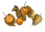 Physalis Peruviana - Sachet 30 graines