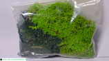 Isländisch Moos